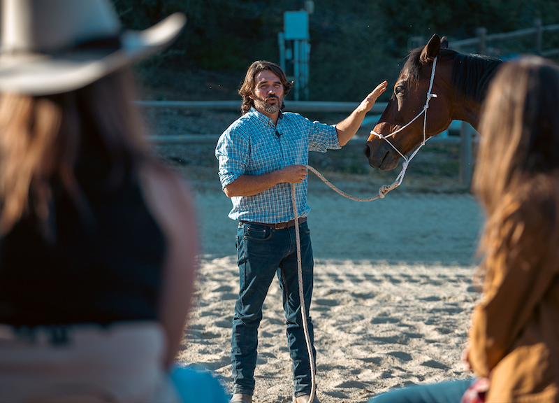 Cristobal Scarpati holding a horse, giving a training lesson. 