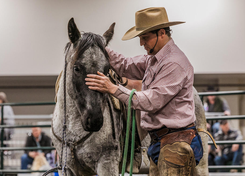 Dustin Sippola doing a demonstration with a horse