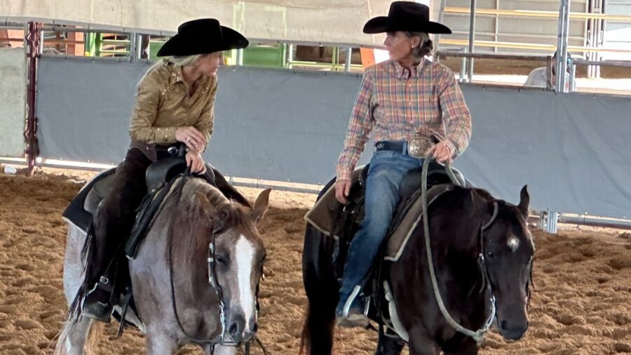 Daughn is a wealth of knowledge in the equine industry and a successful trainer. She trains out of Starr Whitley's ranch in Brenham, Texas. Courtesy of Kathy Daughn