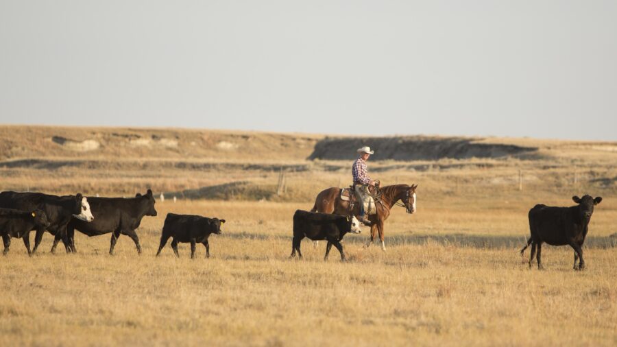Ty Fowler on his ranch in South Dakota