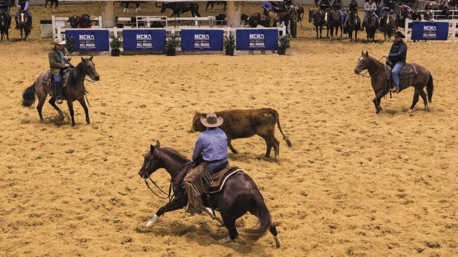 turnback riders are essential to a successful cutting team. Photography by Katie Frank
