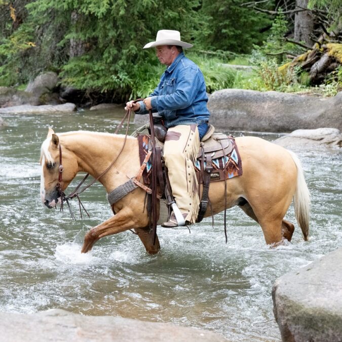 Weaver Equine Chaps and Chinks