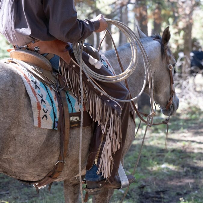 A solid pair of cowboy chaps is an essential piece of gear for anyone working in rough terrain. Weaver Equine’s Cowboy Chaps start with premium materials