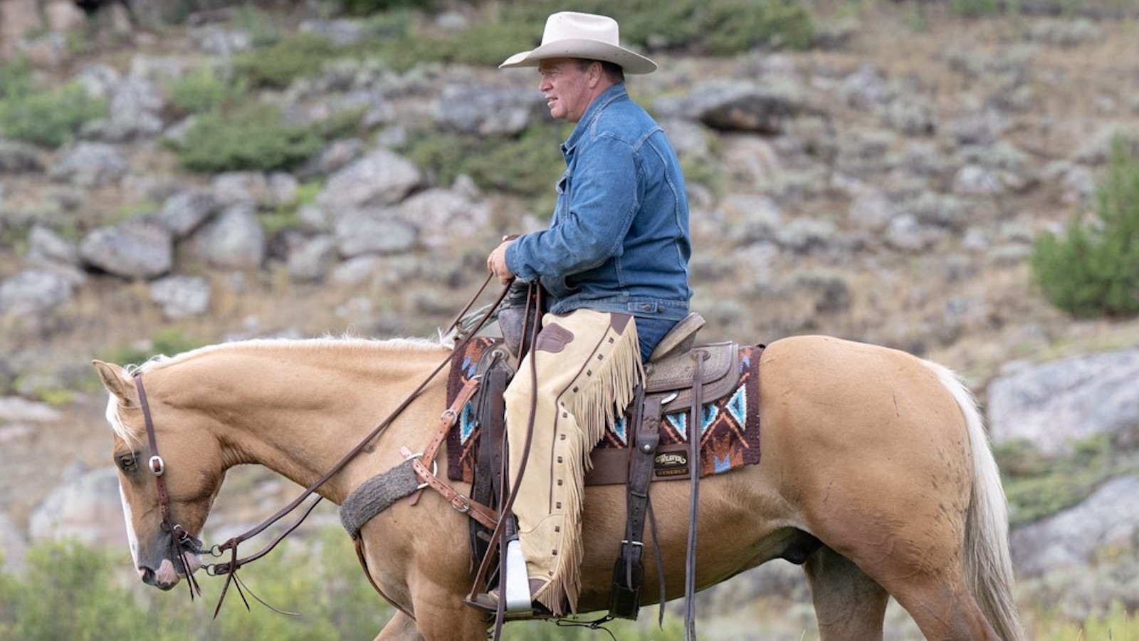 Weaver Equines Chaps with Ken Mcnabb