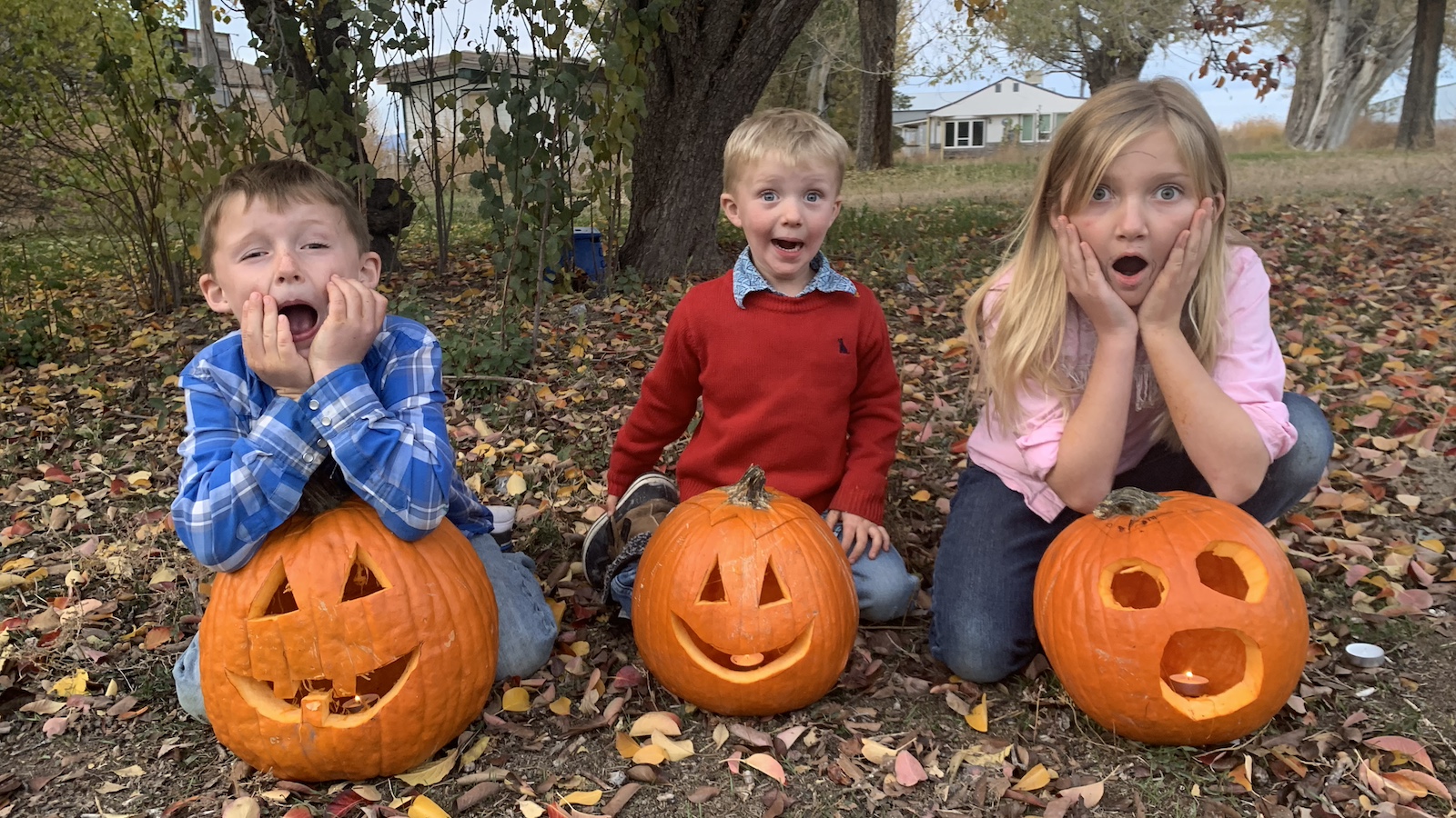 Jolyn Young's three kids with carved pumpkins