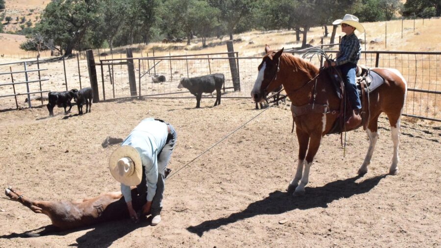 Horses, health and happiness; three things Jolyn Young is gratefull for