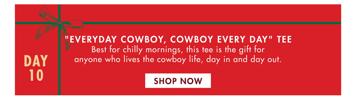 everyday cowboy, cowboy every day tee