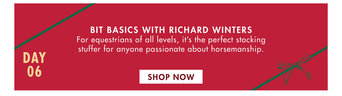 bit basics with richard winters