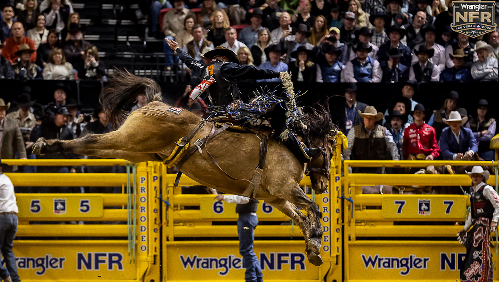 Zeke Thurston 2024 NFR