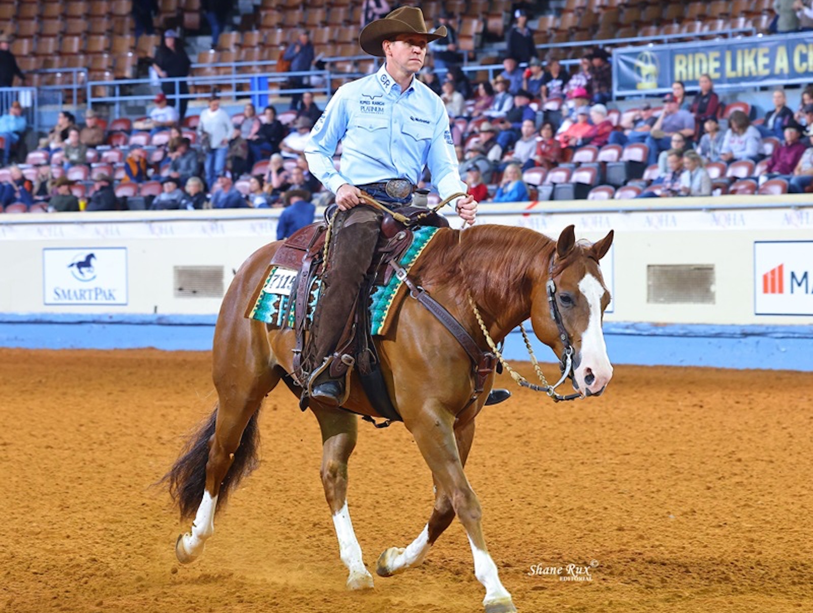 Pictured are the 2024 AQHA Superhorse Sumac Gunnabeflashy and Bud Lyon. Photography by Shane Rux Photography