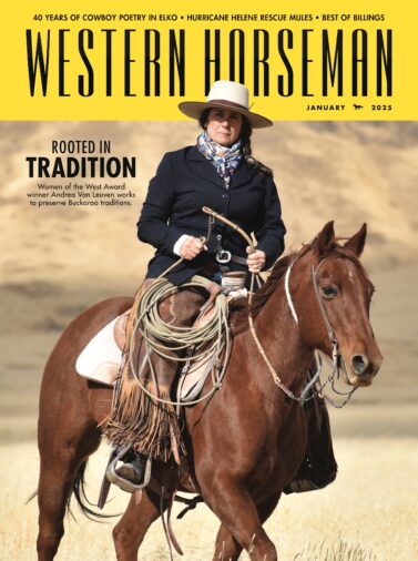 January 2025 cover