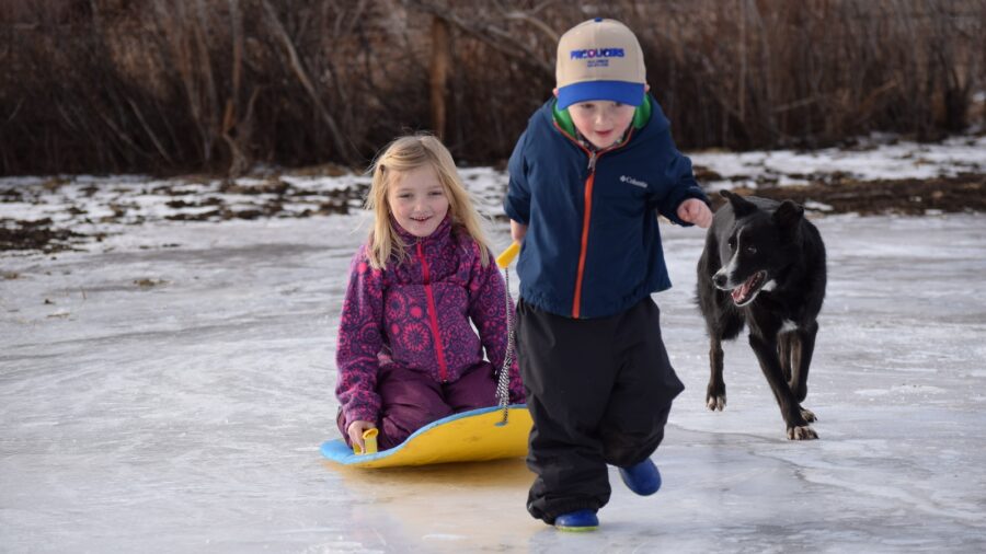 kids and a dog sledding