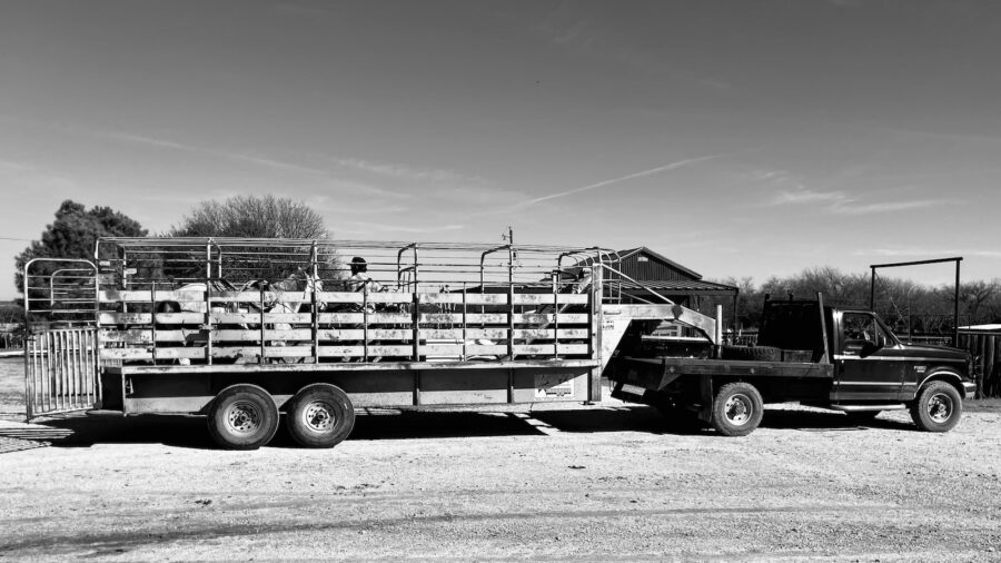 black and white truck and trailer headed to the coast