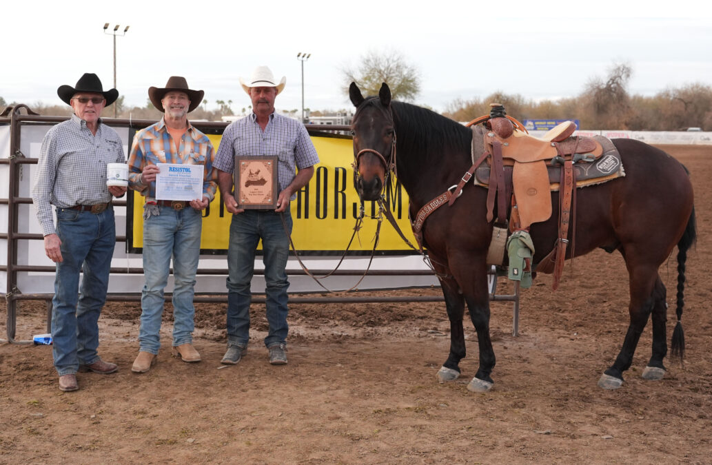 Legacy #10.5 Top Head Horse owned by Mel Coleman