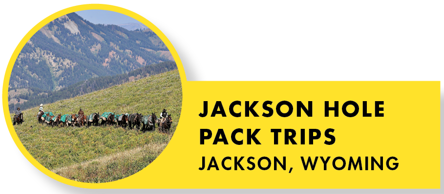 jackson hole pack trips