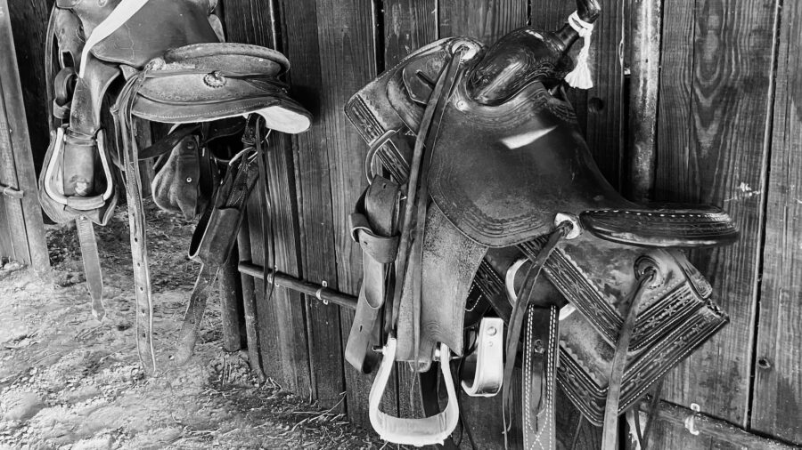 black & white saddles