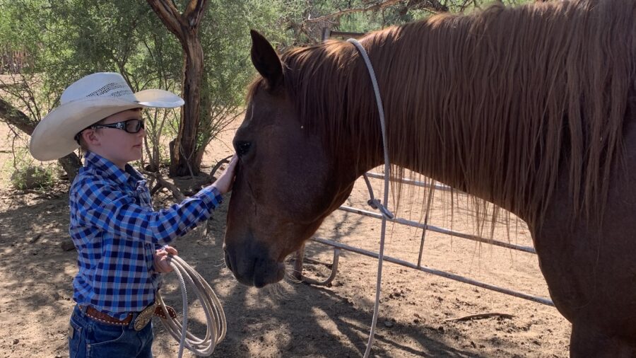 jolyn young's son and his horse