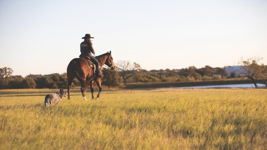 girl on a horse with a dog