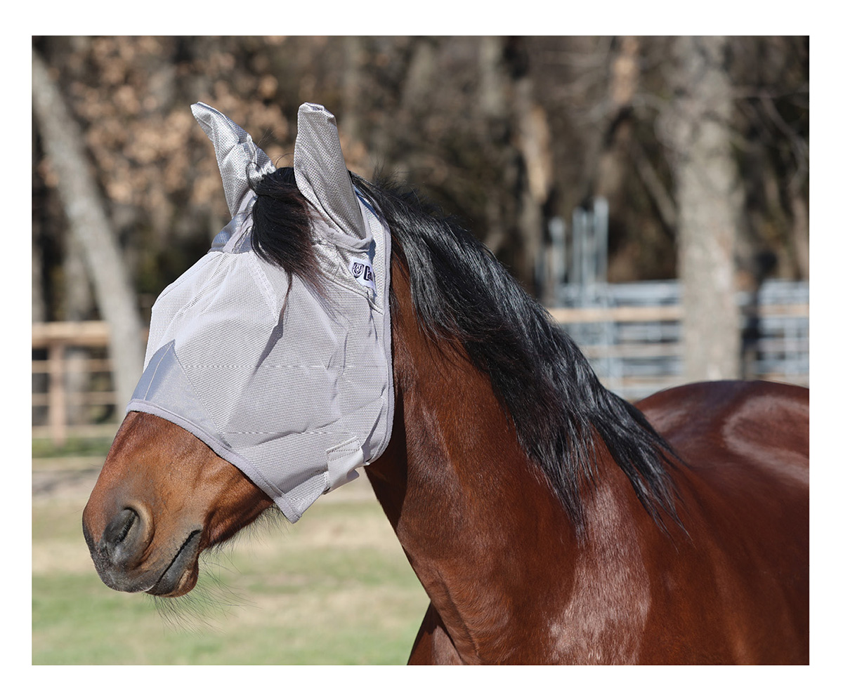 Cashel Crusader fly mask with ears