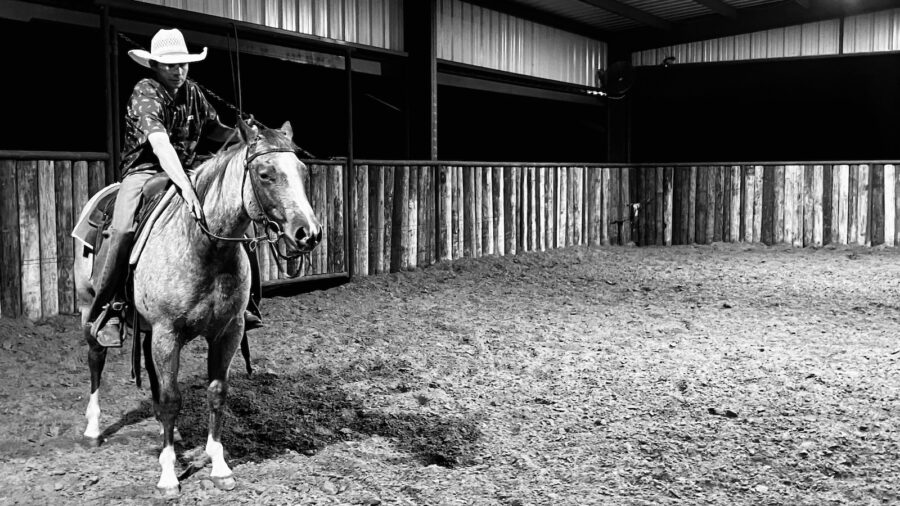 horse and rider in black and white. Get short feature image