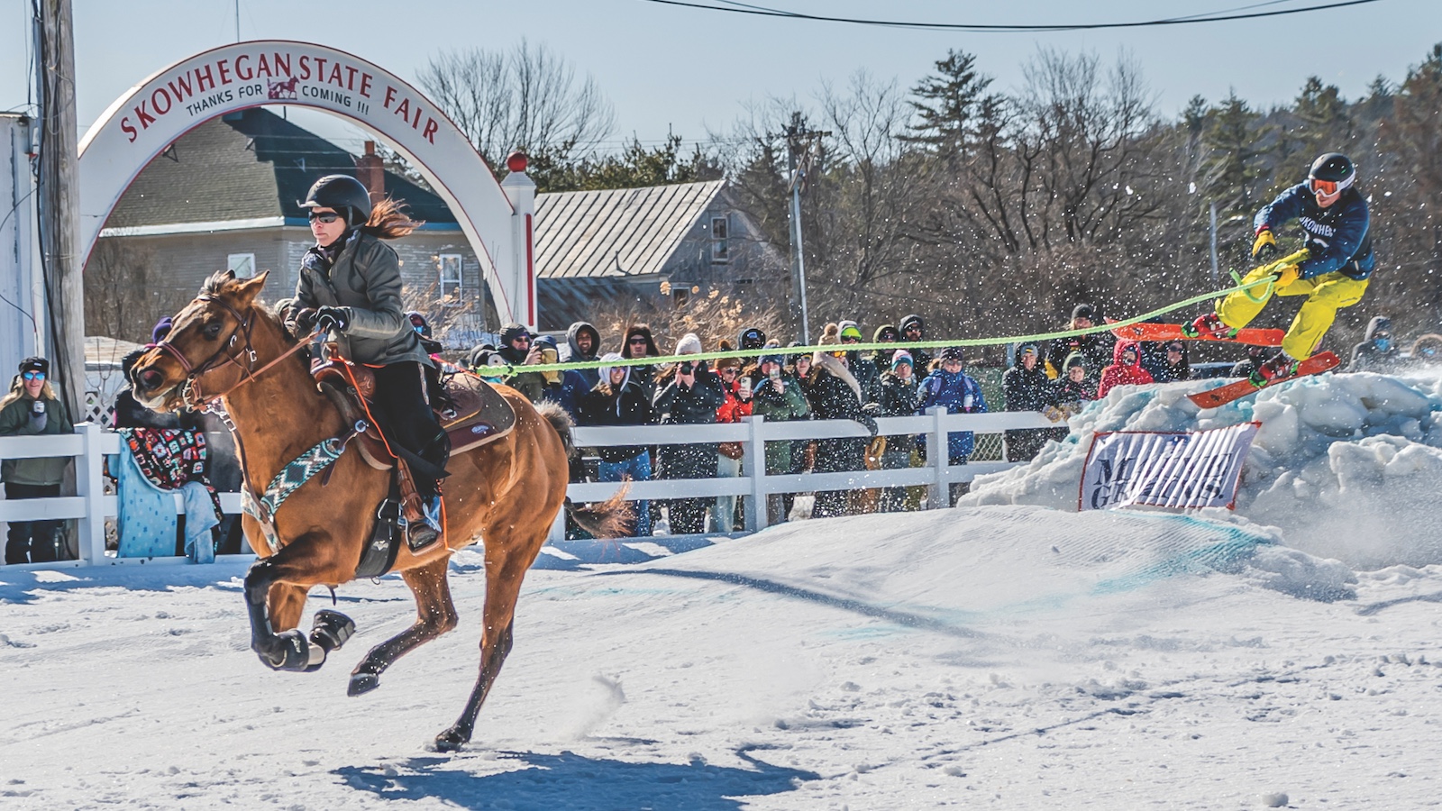 Molly Thronton skijoring