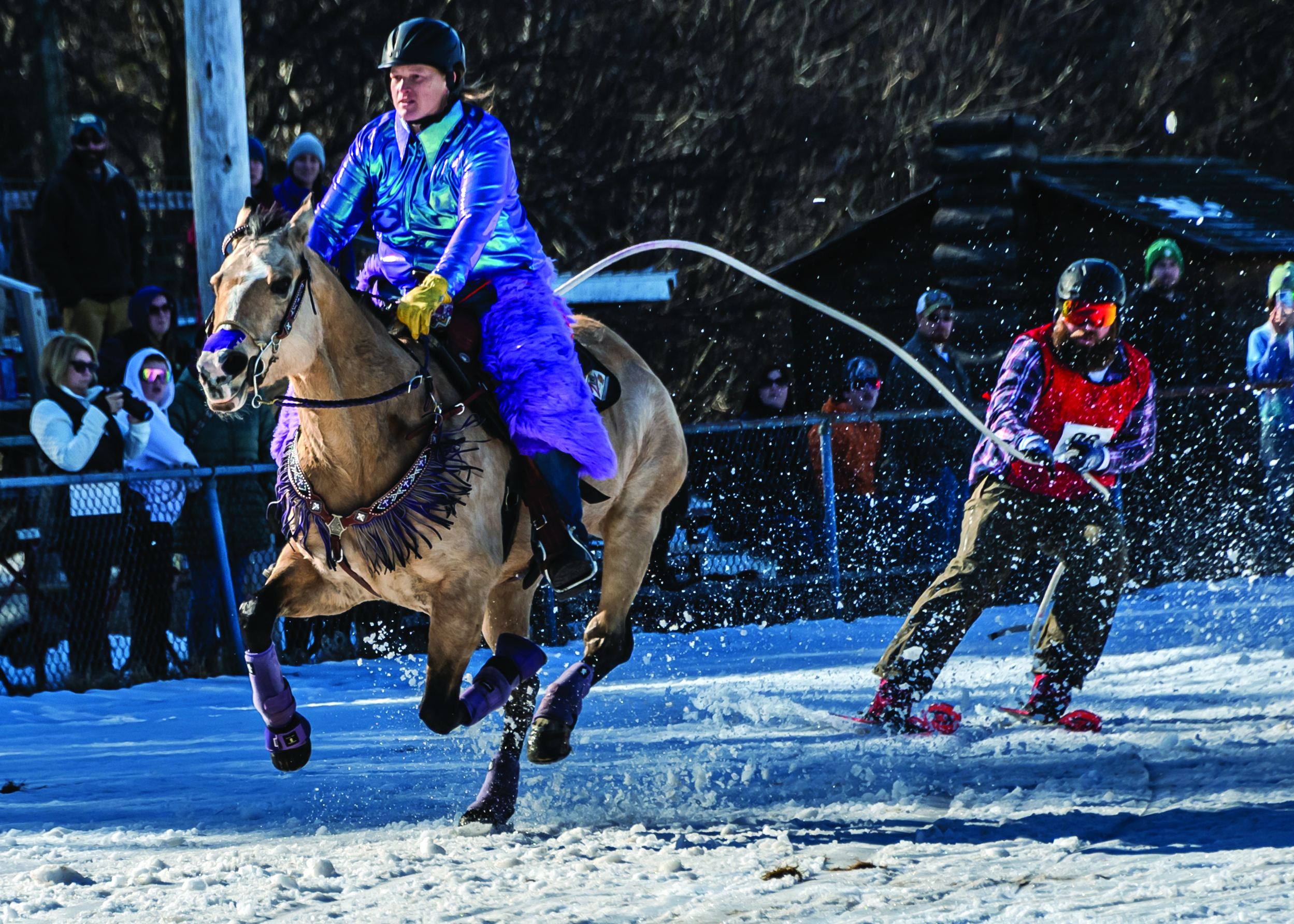 Maine skijoring. Photography by Jamie Lawler Photos