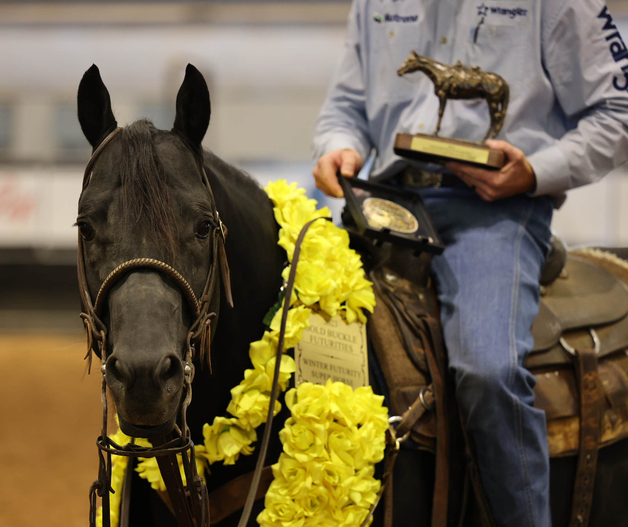 profile of horse with gold buckle futuities 