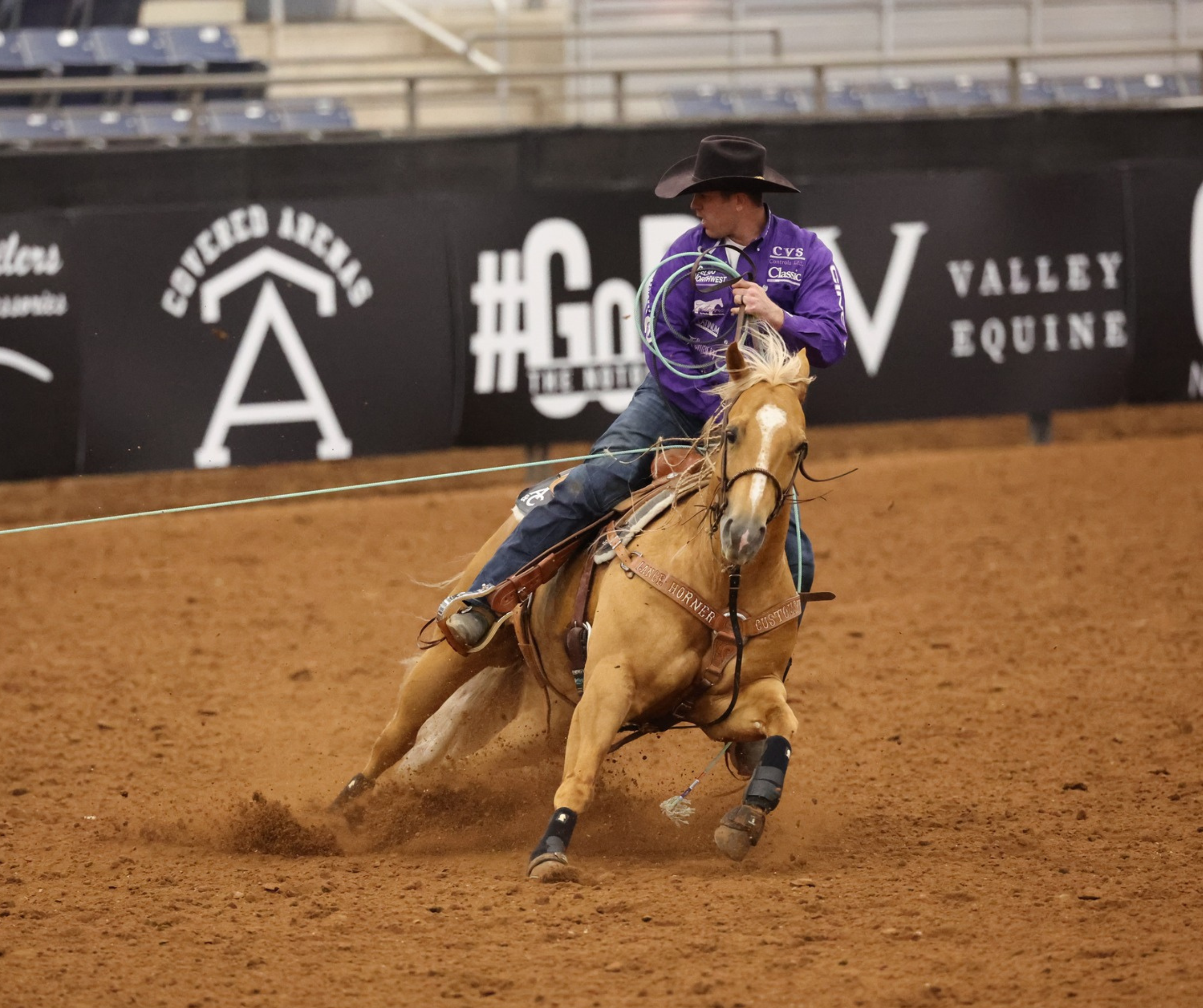 Roper and horse