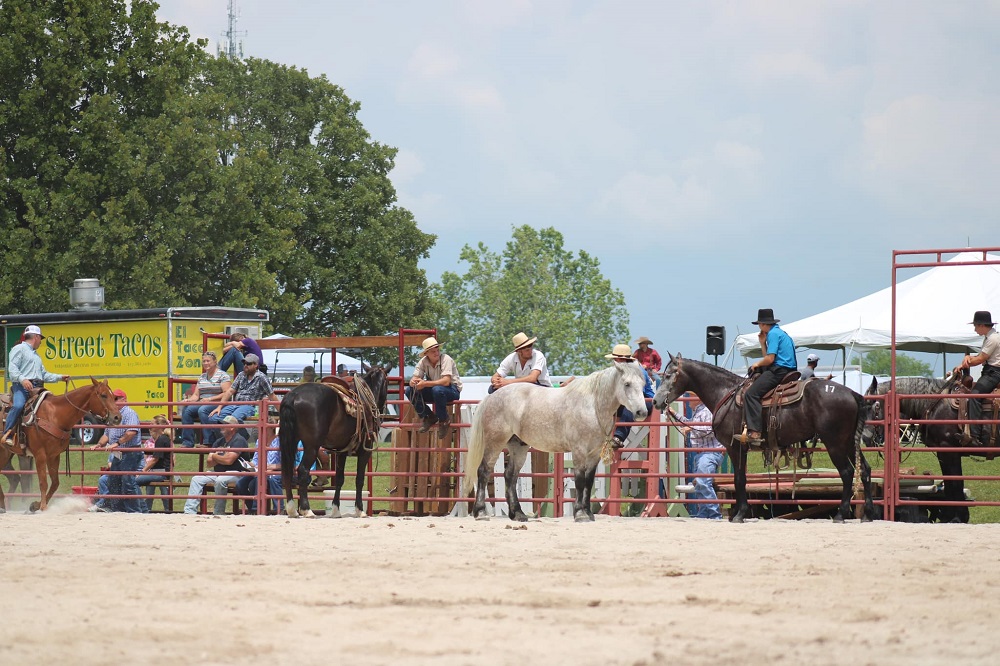 Heritage Livestock Sale