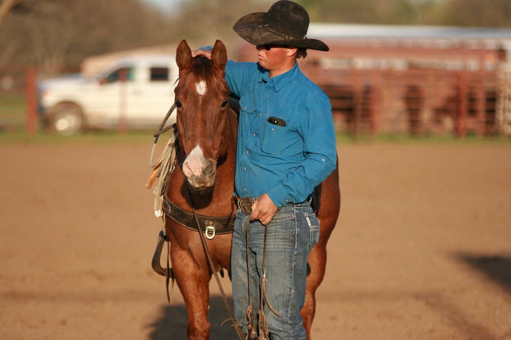 Heritage Livestock Sale
