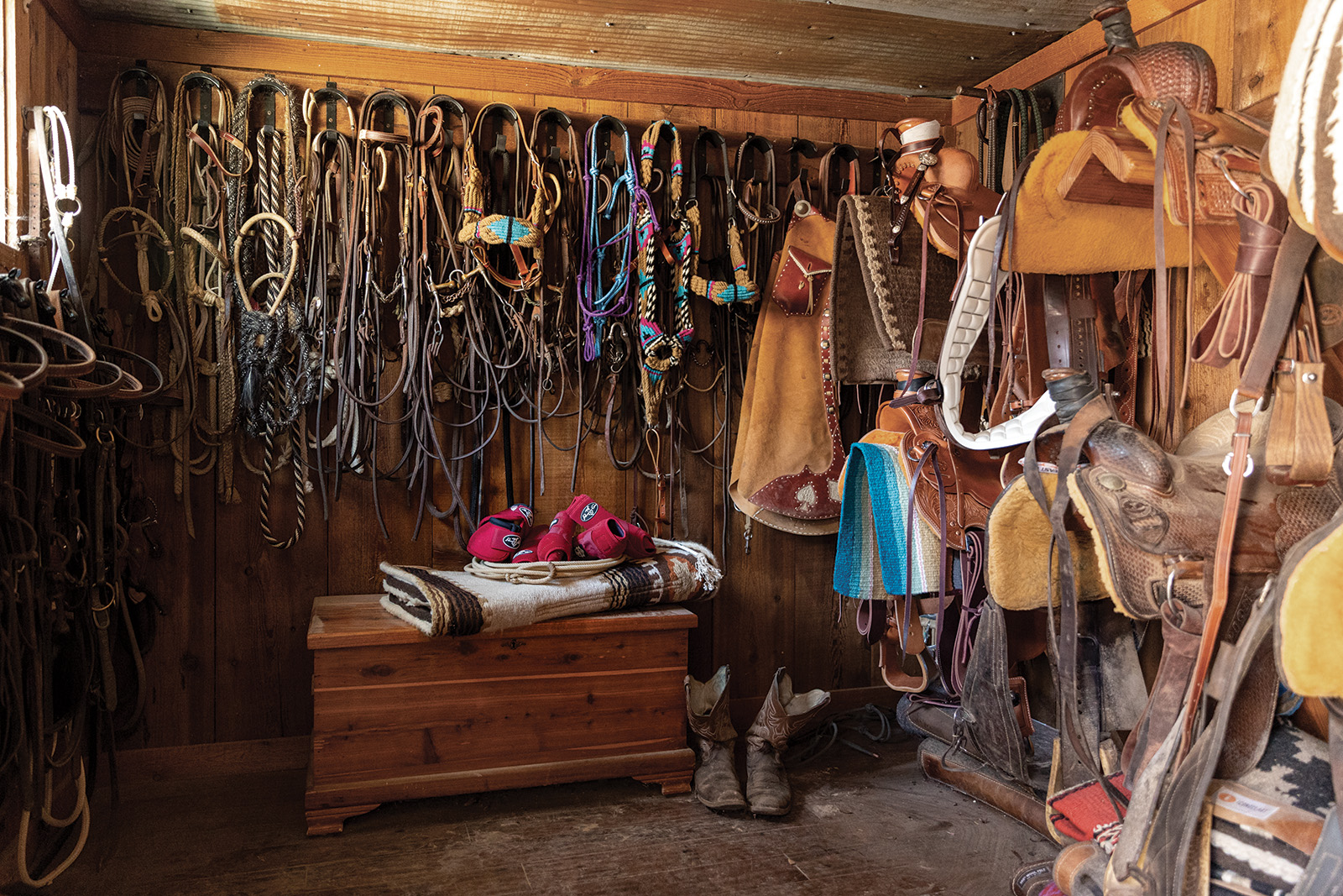 tack room filled with tack