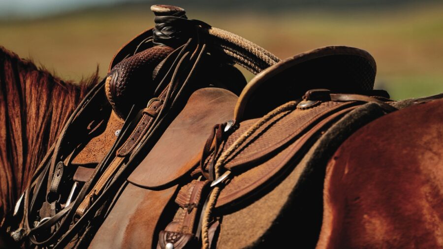 May 2025 cover of Western Horseman