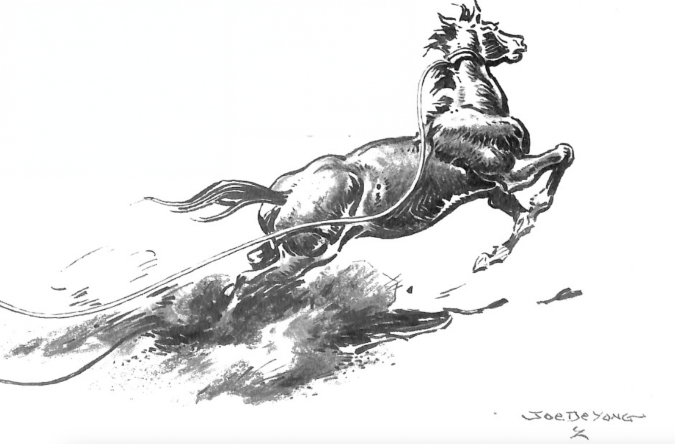 Horse being roped
