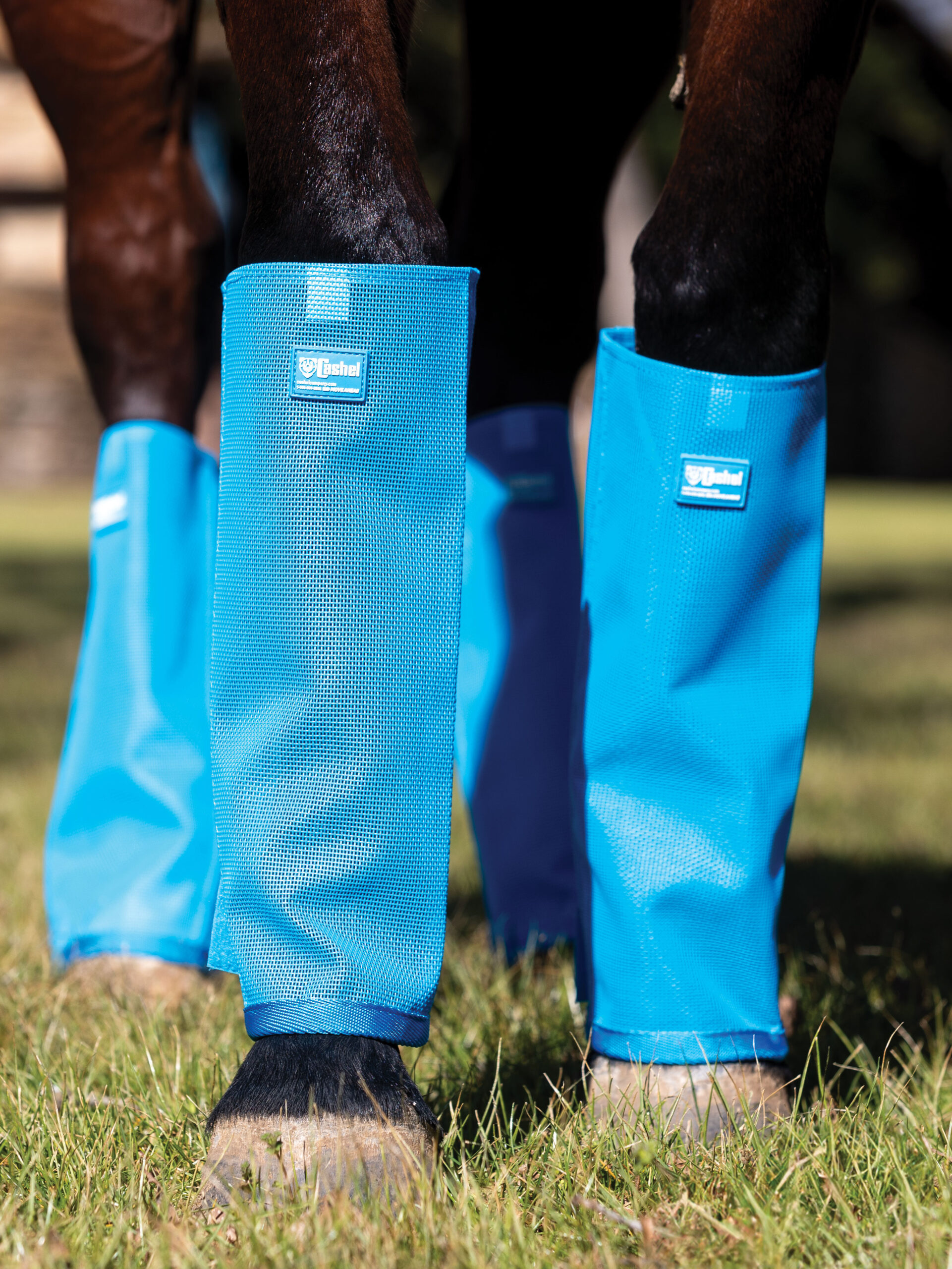lg4 crusader leg guards
