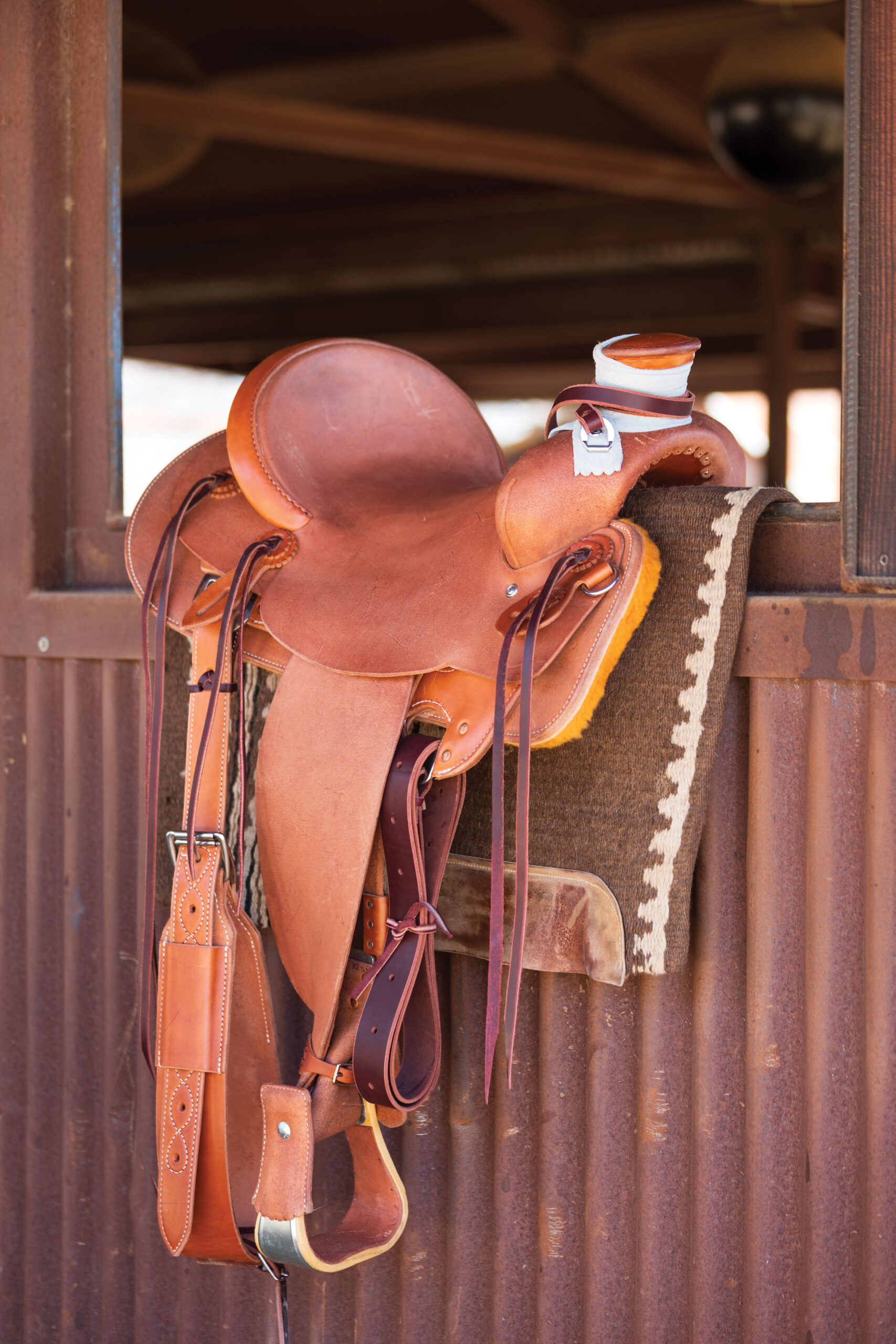 the great basin saddle
