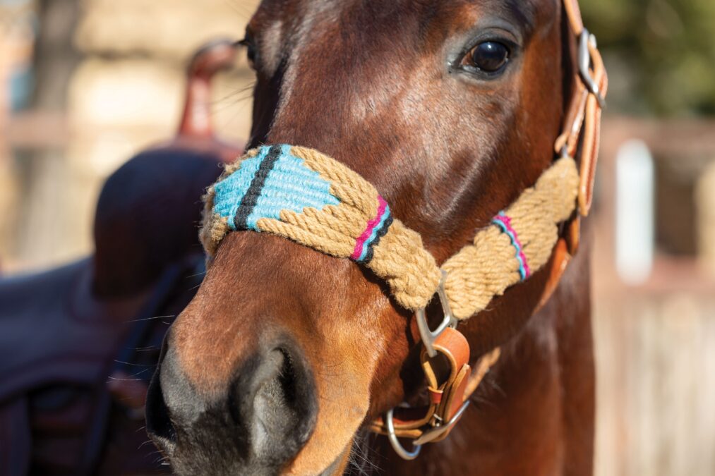 wool string tack collection