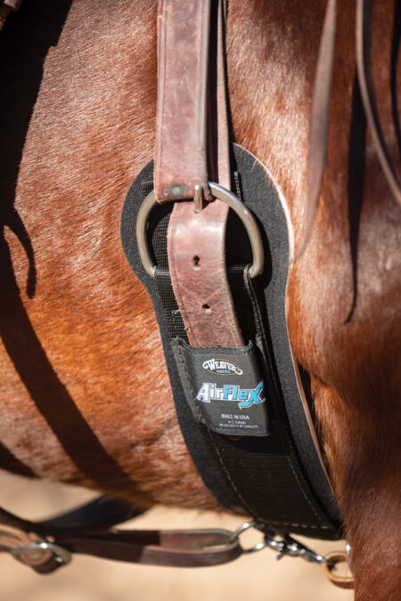 airflex cinch