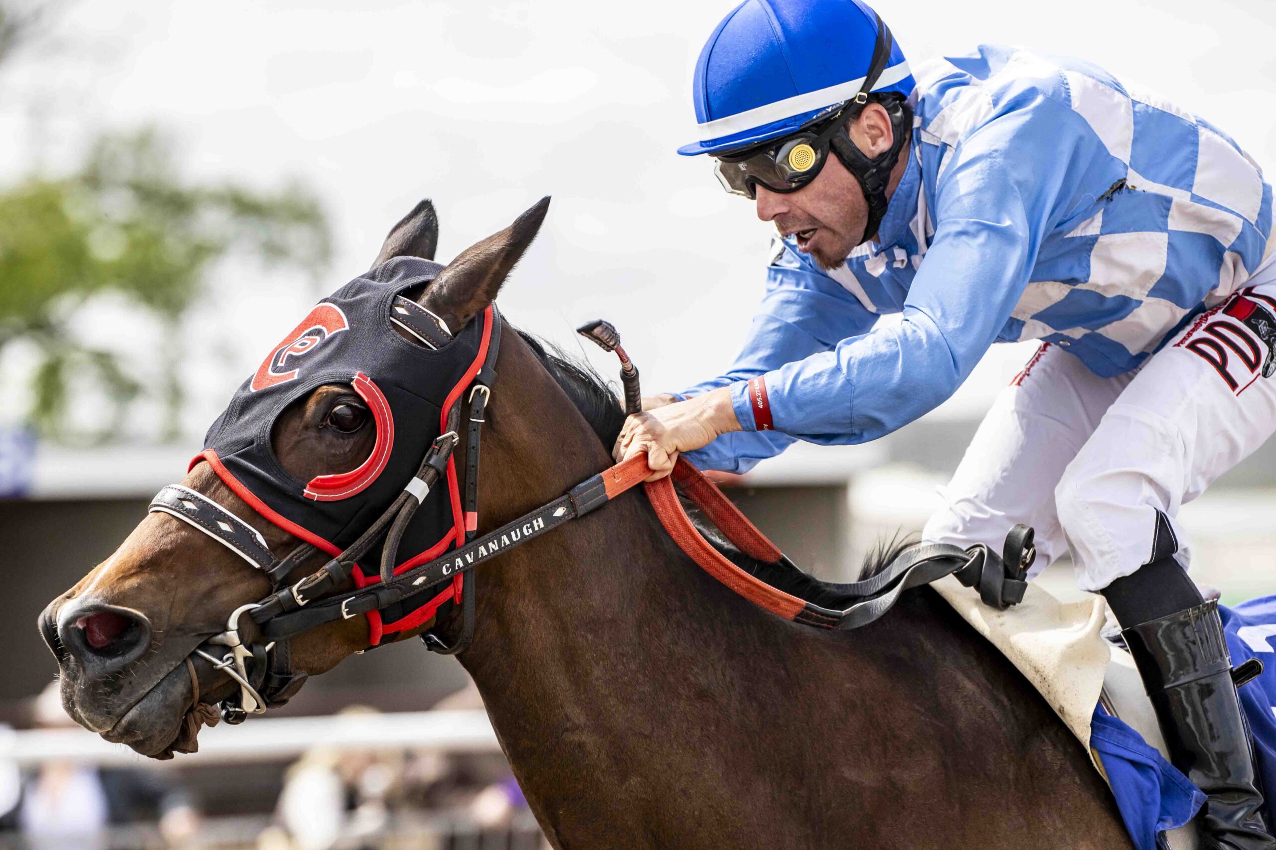 Horse races run between sections of broncs on both Saturday and Sunday.