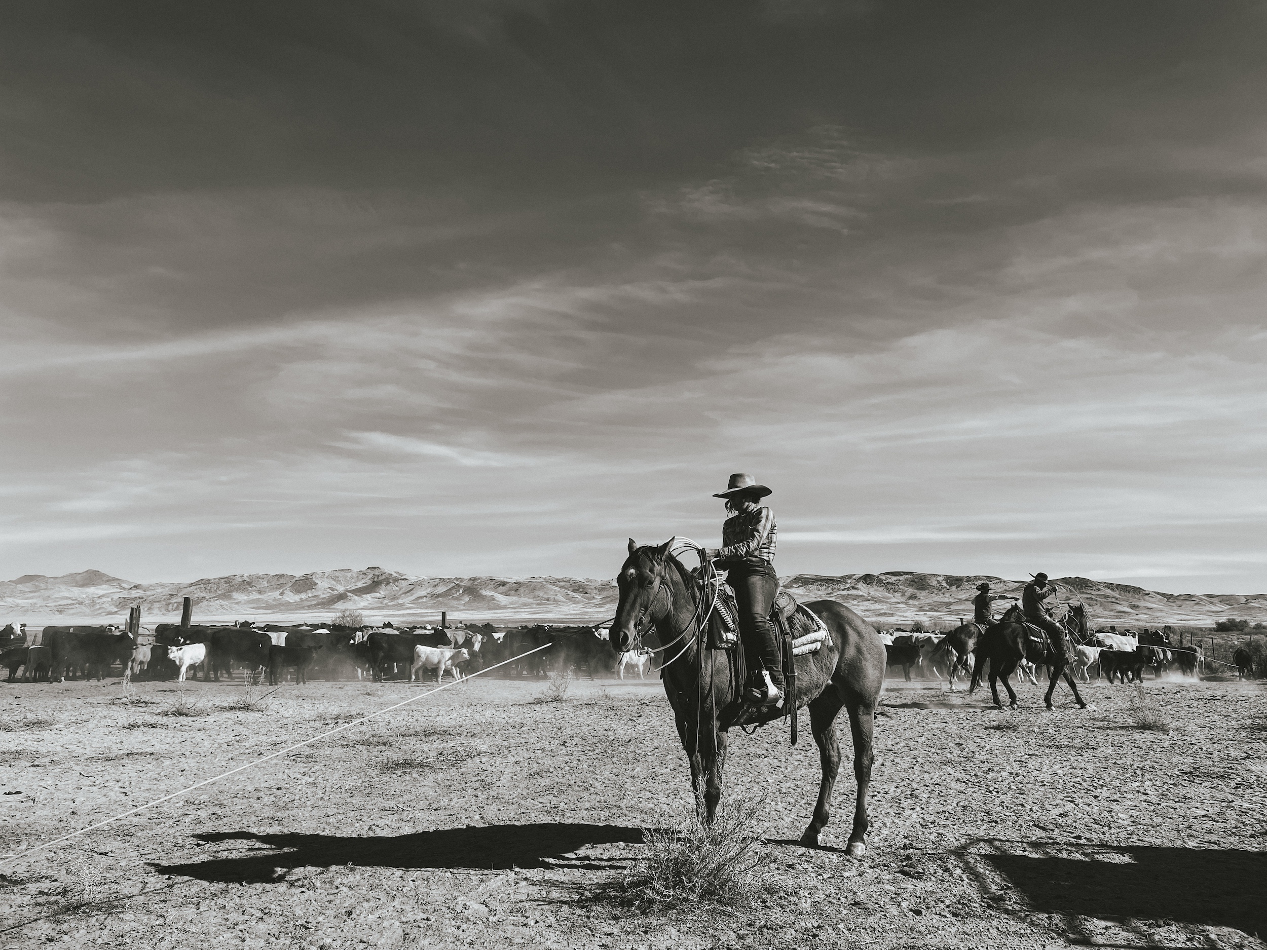 black and white photo of Celeste Turconi horseback