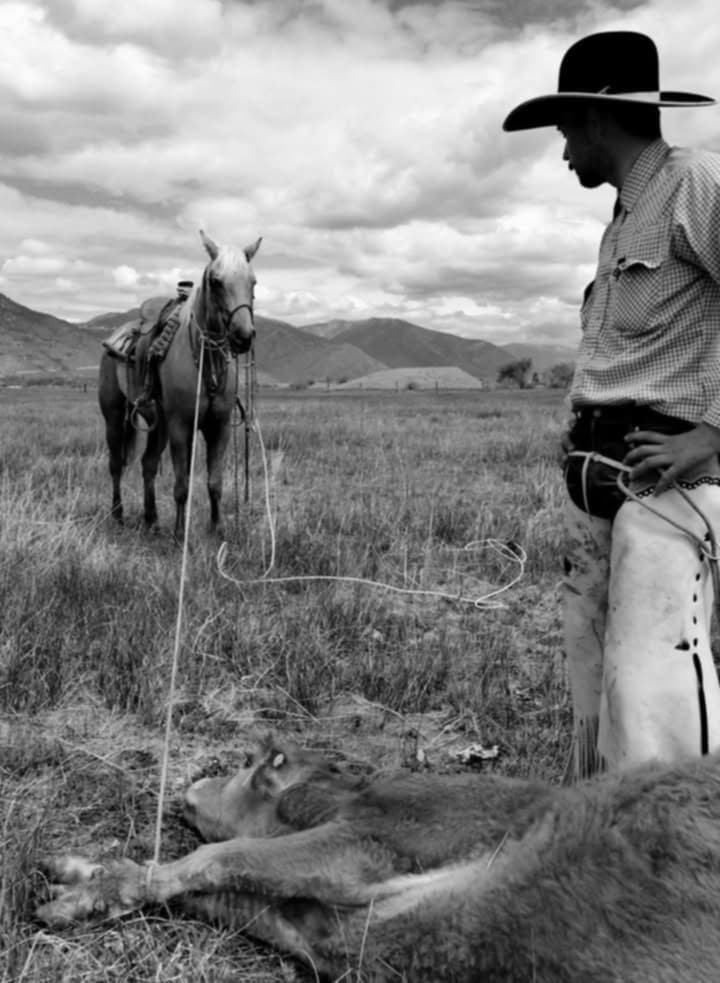 black and white image of Dakota May, a horse and calf