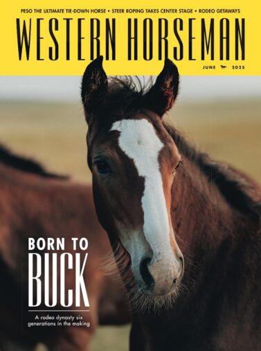 June 2025 cover