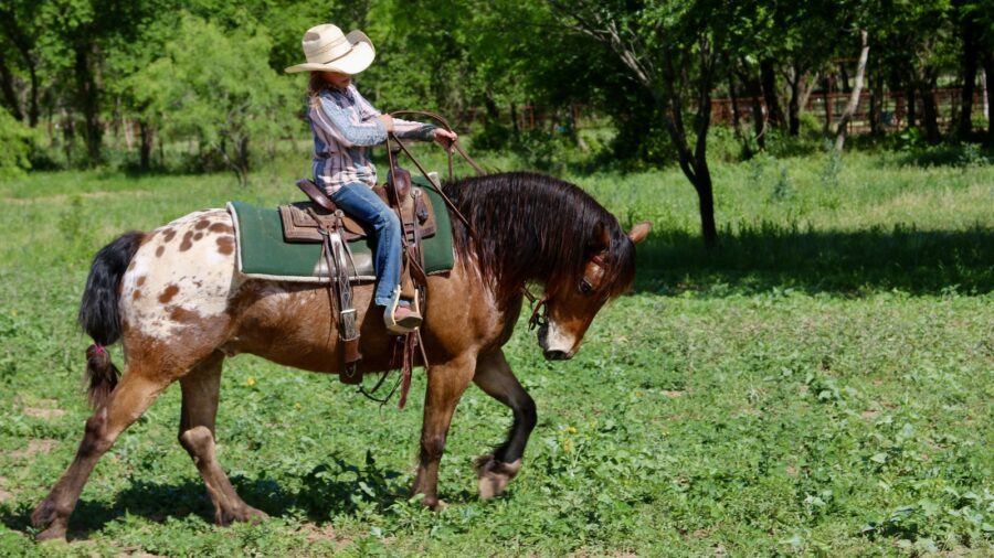 little girl on a horse