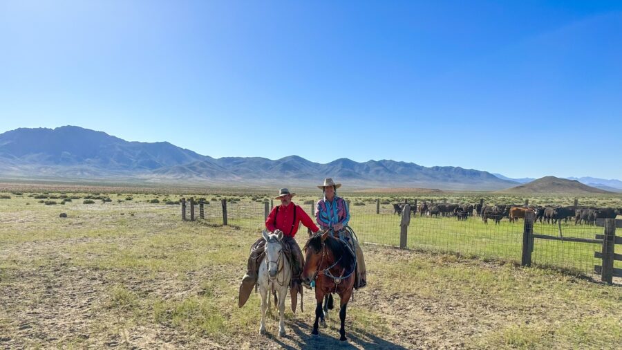 sitting horseback