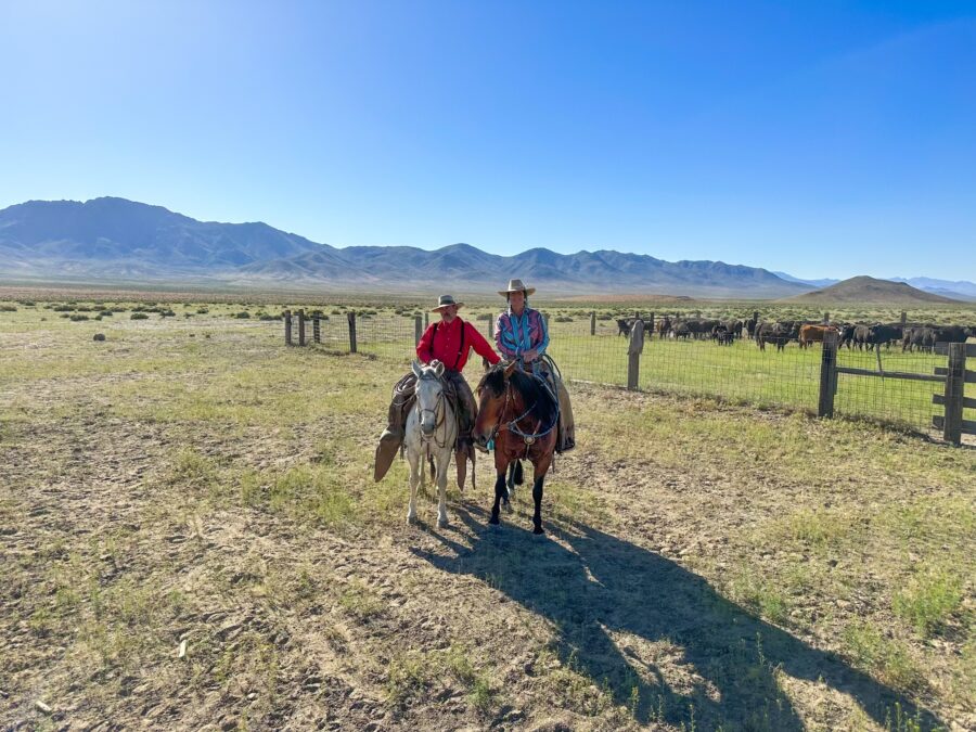 sitting horseback