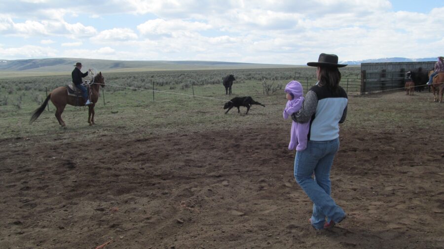 mom holding a baby while the boys rope and brand and calf