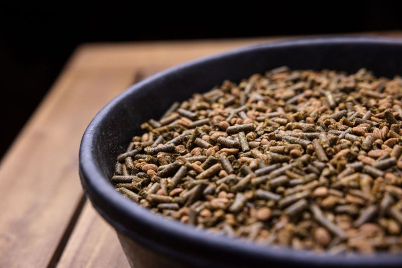 horse supplements in a feed pan on a wooden table