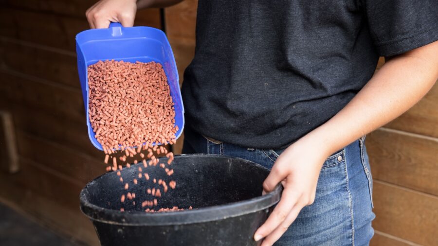woman pouring horse supplement from a feed scoop into a feed pan