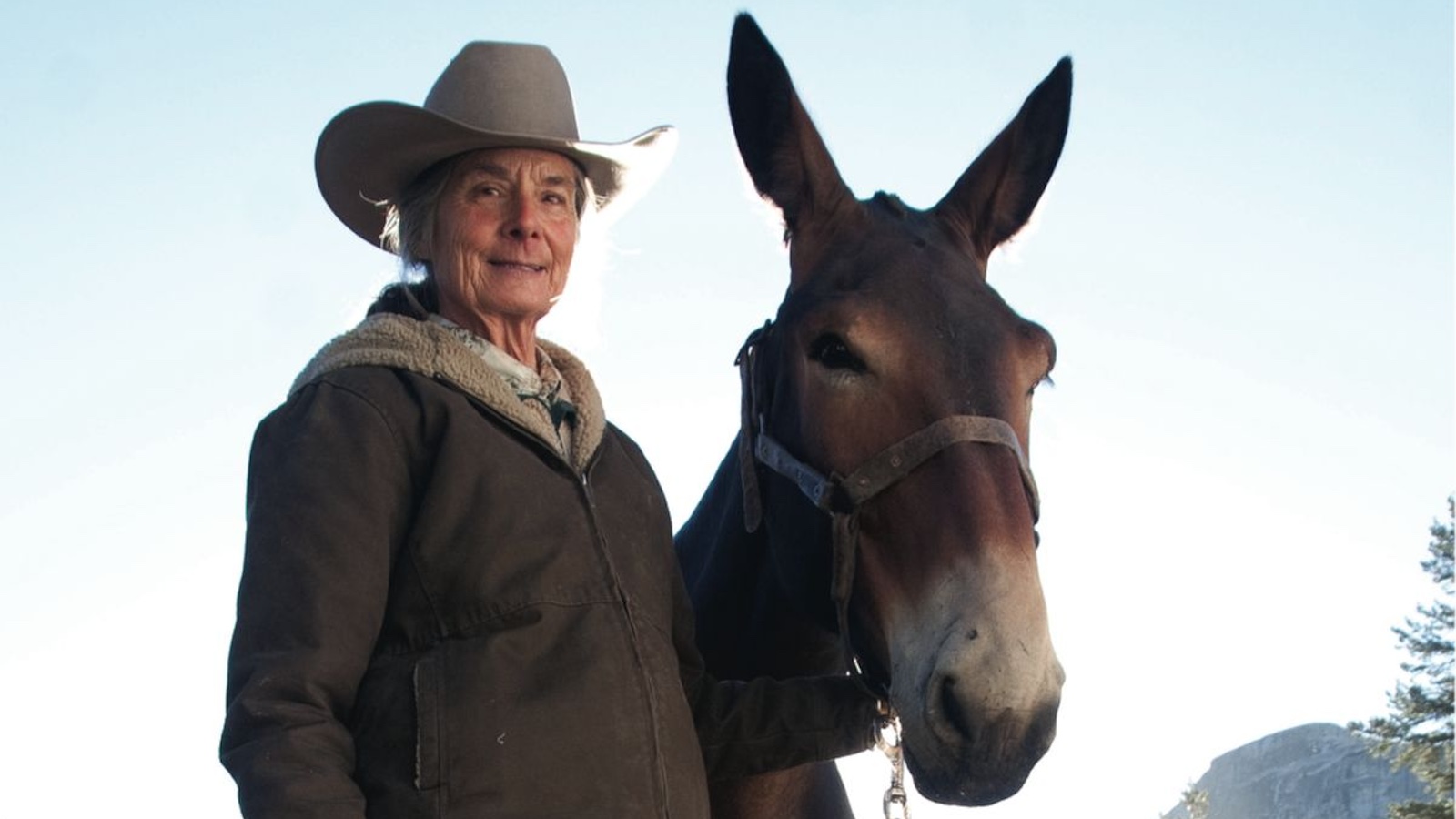 Sheridan King with a mule