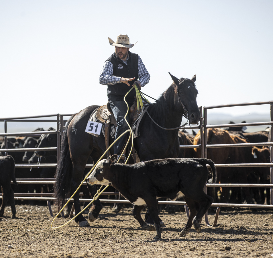 Wes Sargent throws a loop during the branding preview at the Pitchfork Ranch Horse sale