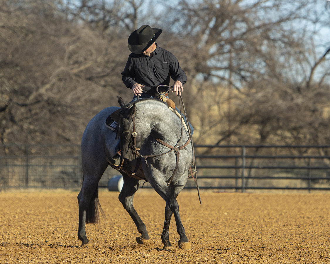 Miles Baker on Crosby Ray Von in an outdoor arena
